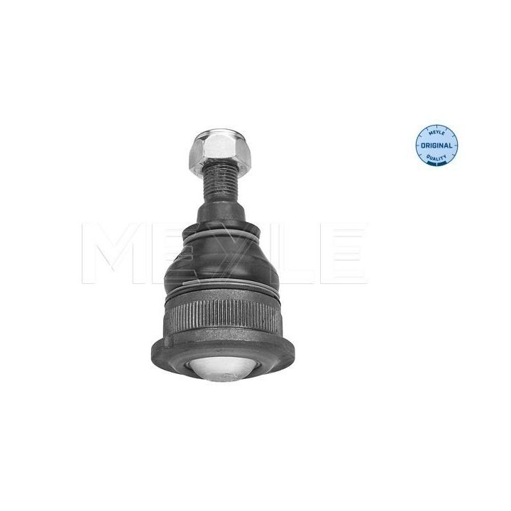 Šarnyras / girgždukas MEYLE 16-16 010 0008