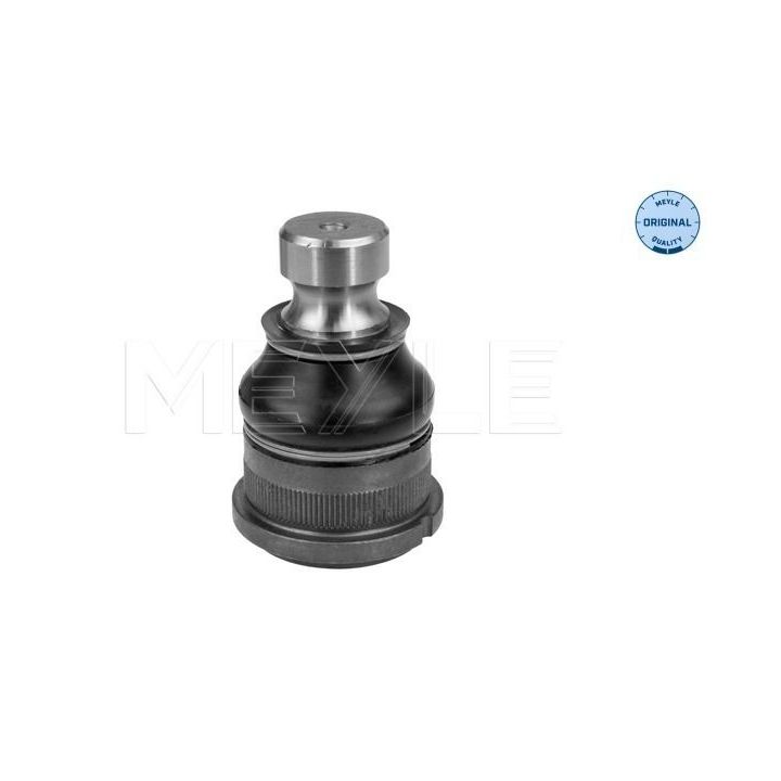 Šarnyras / girgždukas MEYLE 16-16 010 0020