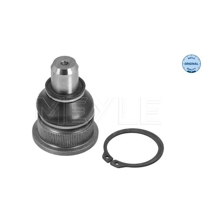 Šarnyras / girgždukas MEYLE 16-16 010 0037
