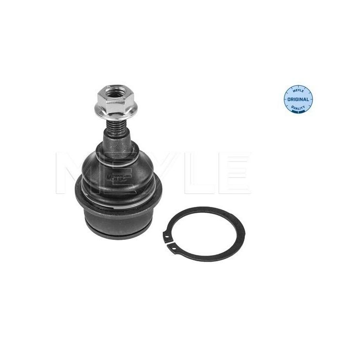 Šarnyras / girgždukas MEYLE 216 010 0010