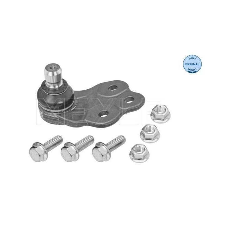 Šarnyras / girgždukas MEYLE 216 010 0016