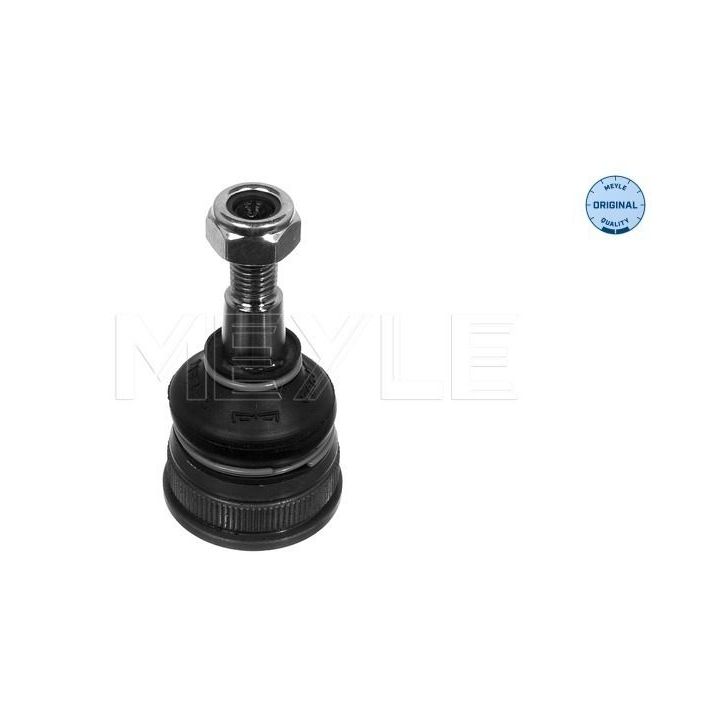 Šarnyras / girgždukas MEYLE 216 010 3118