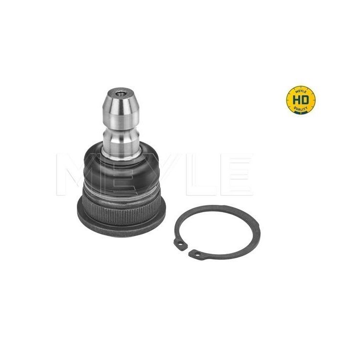 Šarnyras / girgždukas MEYLE 28-16 010 0011/HD
