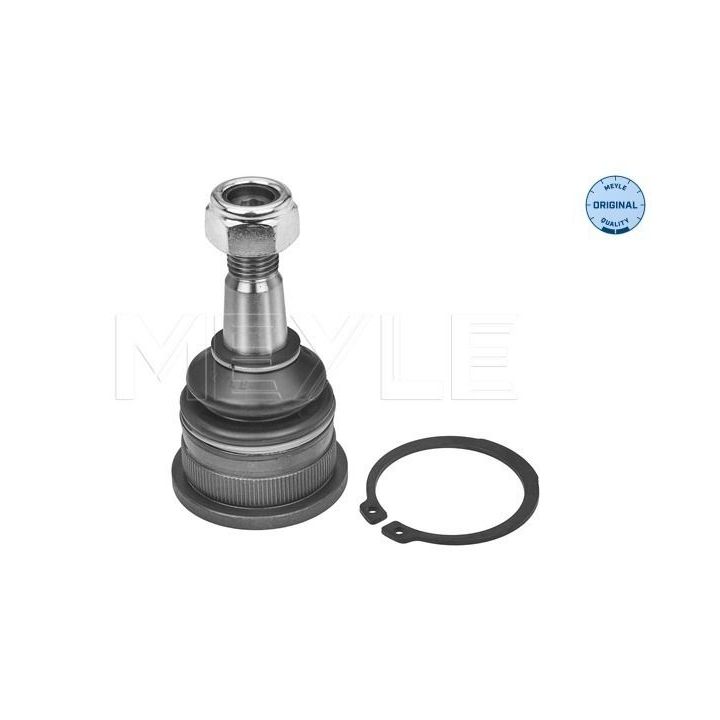 Šarnyras / girgždukas MEYLE 30-16 010 0069