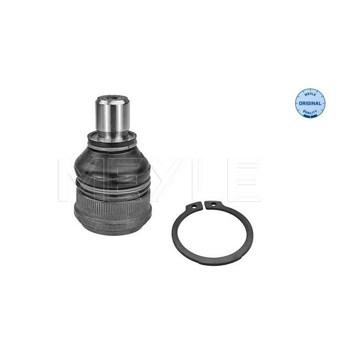 Šarnyras / girgždukas MEYLE 716 010 0019