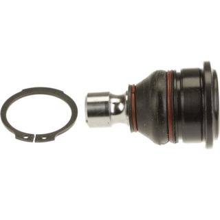 Šarnyras / girgždukas TRW JBJ1095