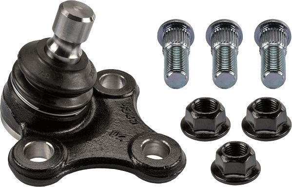 Šarnyras / girgždukas TRW JBJ1162