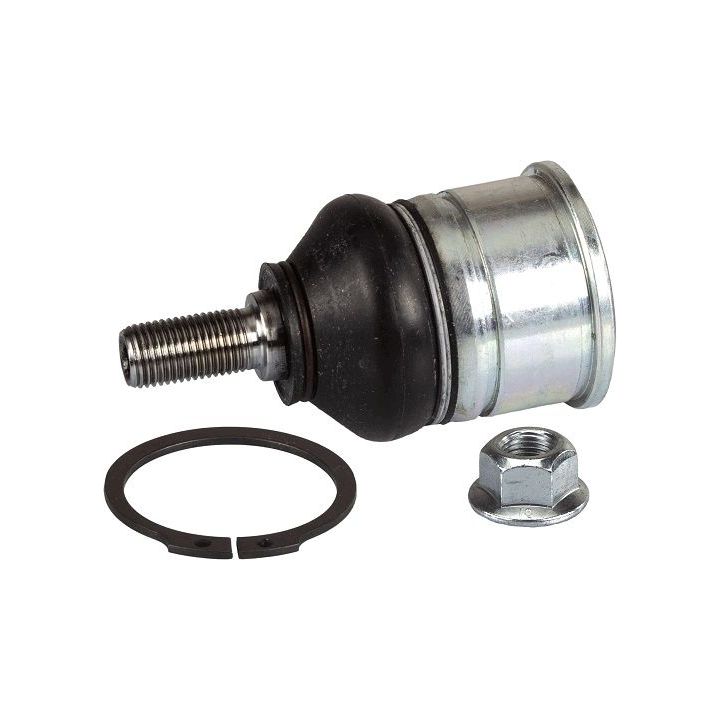 Šarnyras / girgždukas TRW JBJ152