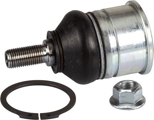 Šarnyras / girgždukas TRW JBJ152