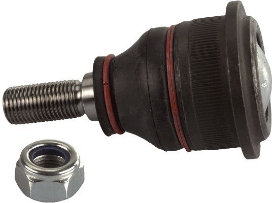 Šarnyras / girgždukas TRW JBJ194