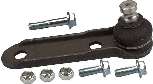 Šarnyras / girgždukas TRW JBJ202