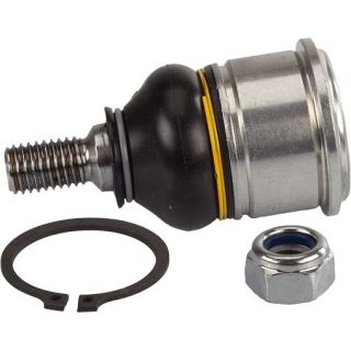 Šarnyras / girgždukas TRW JBJ204