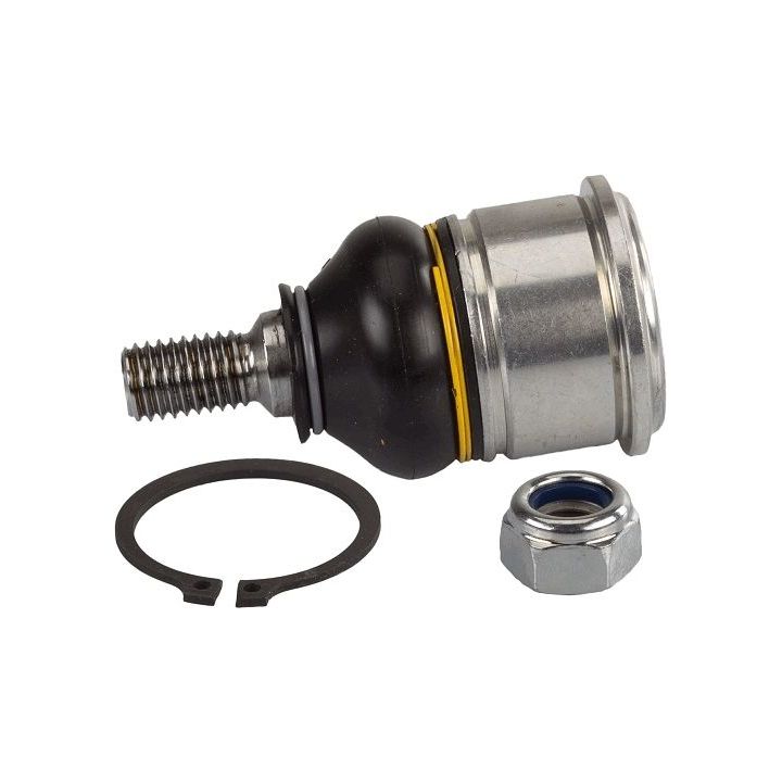 Šarnyras / girgždukas TRW JBJ204