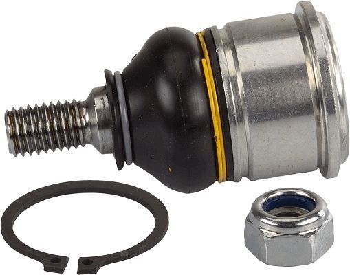 Šarnyras / girgždukas TRW JBJ204