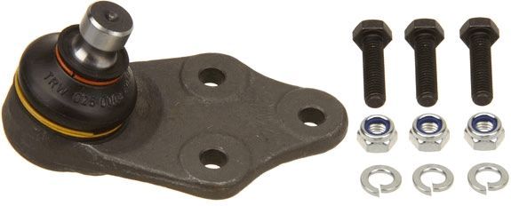 Šarnyras / girgždukas TRW JBJ209