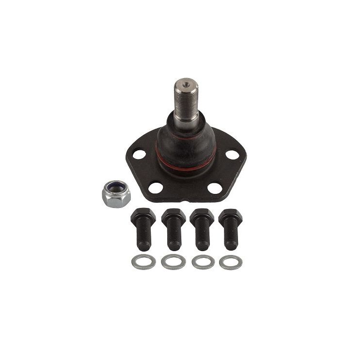 Šarnyras / girgždukas TRW JBJ278