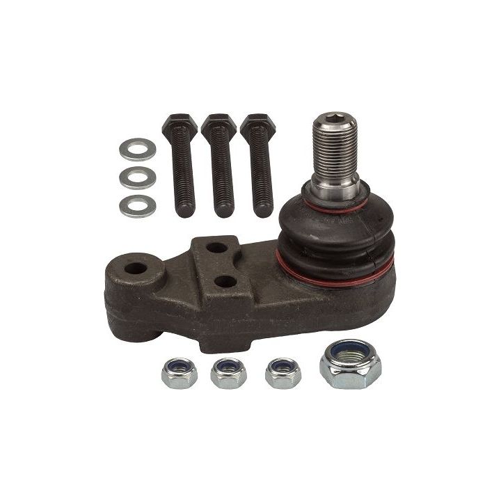 Šarnyras / girgždukas TRW JBJ303