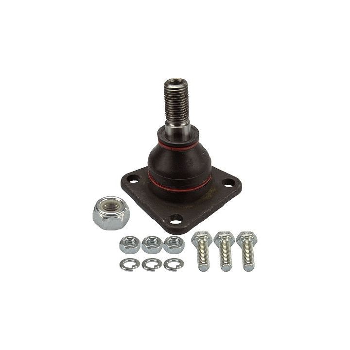 Šarnyras / girgždukas TRW JBJ306