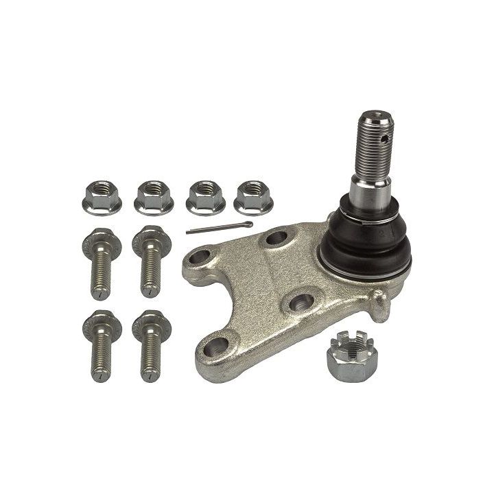 Šarnyras / girgždukas TRW JBJ320