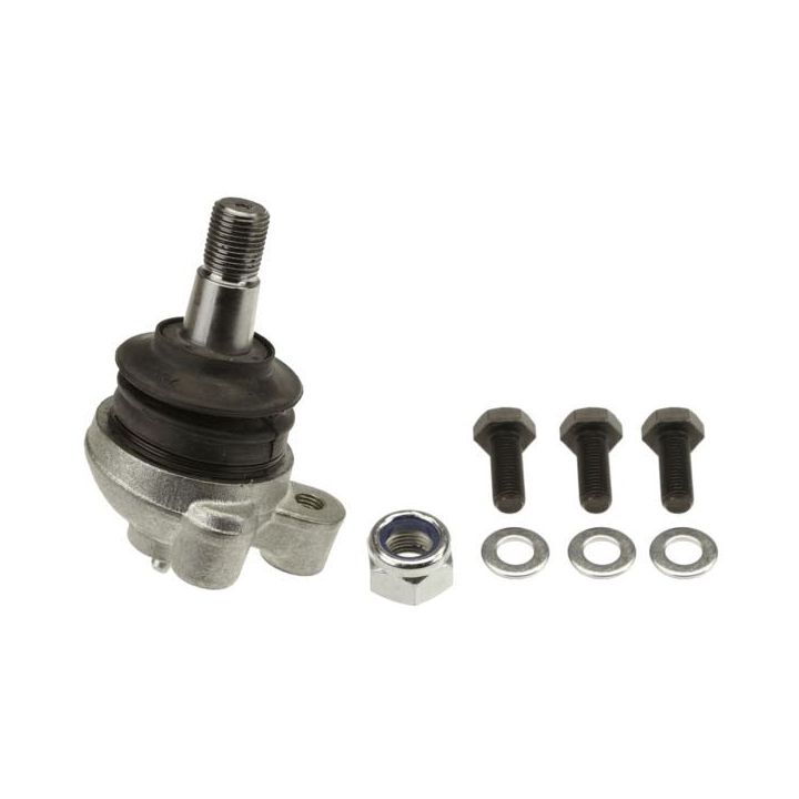 Šarnyras / girgždukas TRW JBJ551