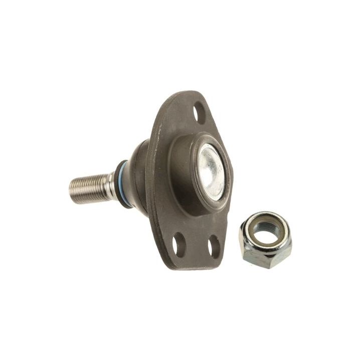 Šarnyras / girgždukas TRW JBJ718