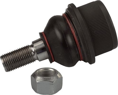 Šarnyras / girgždukas TRW JBJ767