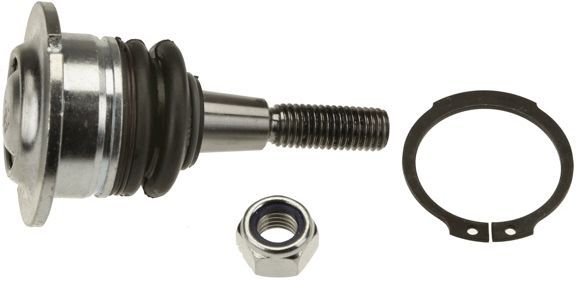 Šarnyras / girgždukas TRW JBJ829