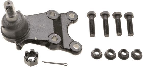 Šarnyras / girgždukas TRW JBJ946