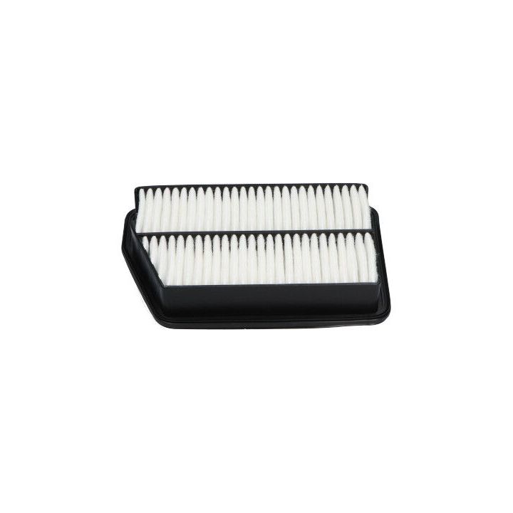 Oro filtras AMC Filter DA-745