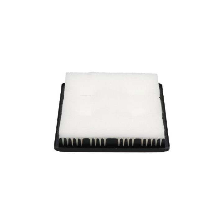 Oro filtras AMC Filter GA-303