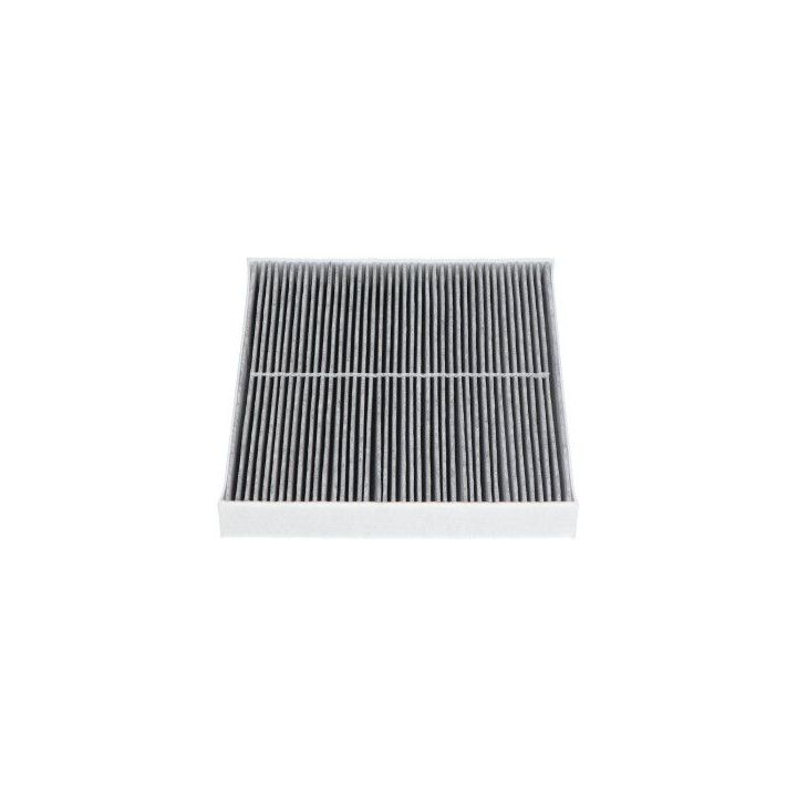 Filtras, salono oras AMC Filter FCA-10062C