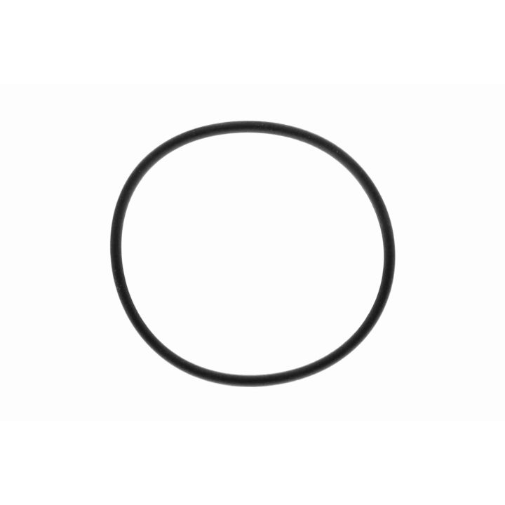 Alyvos filtras VAICO V24-7191