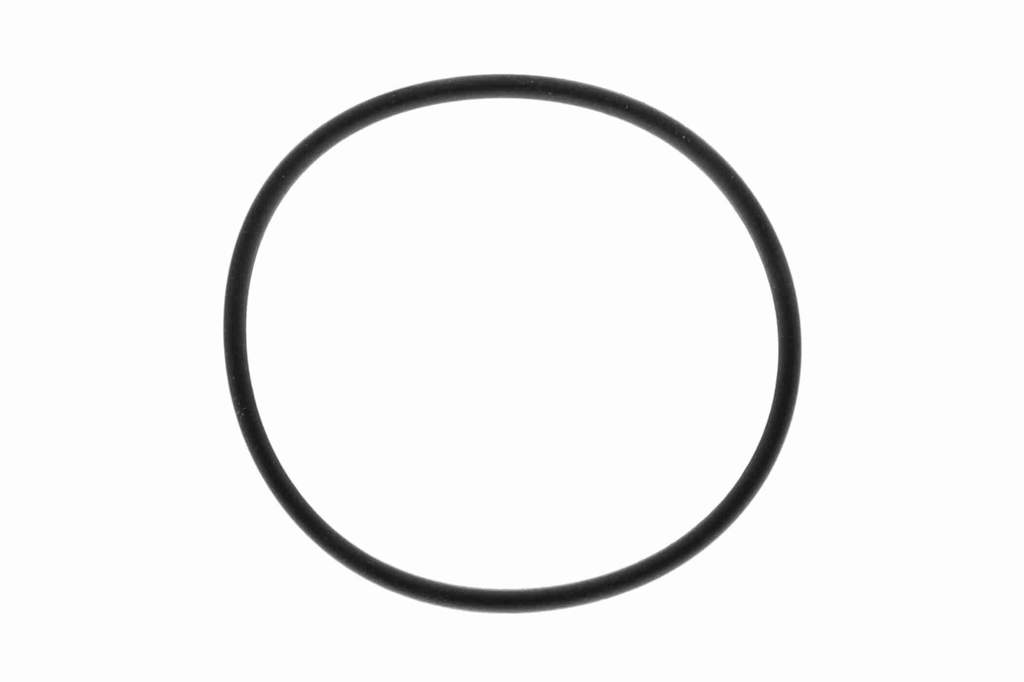 Alyvos filtras VAICO V24-7191