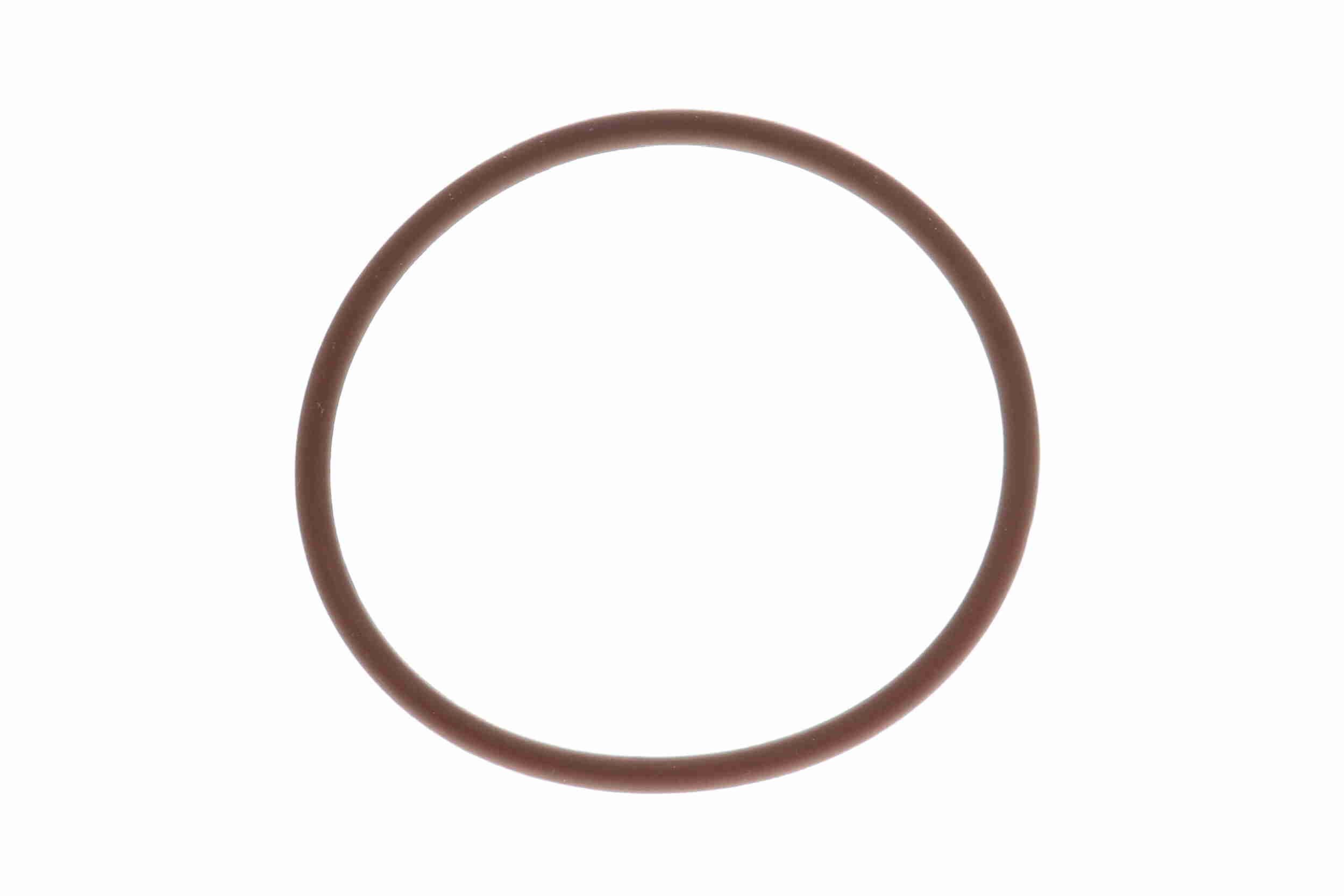 Alyvos filtras VAICO V48-0556