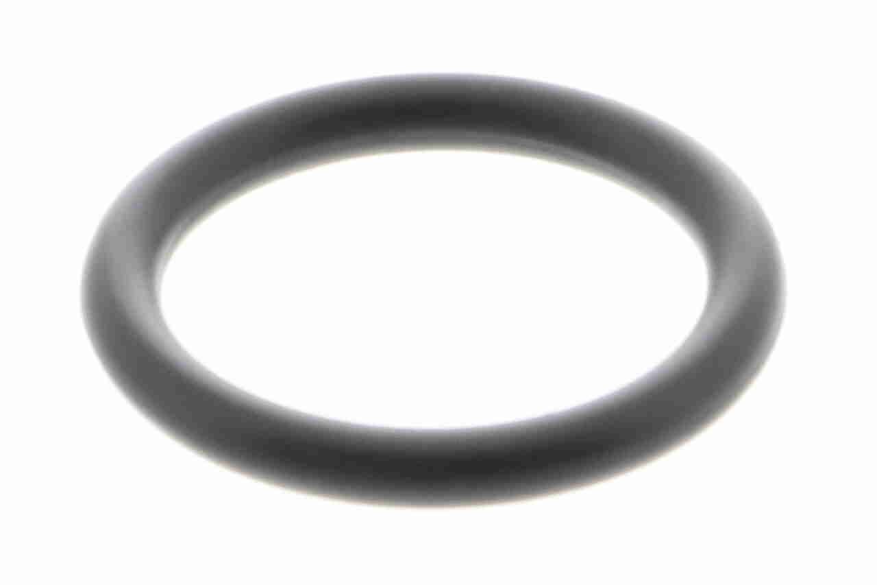 Kuro filtras VAICO V22-0747