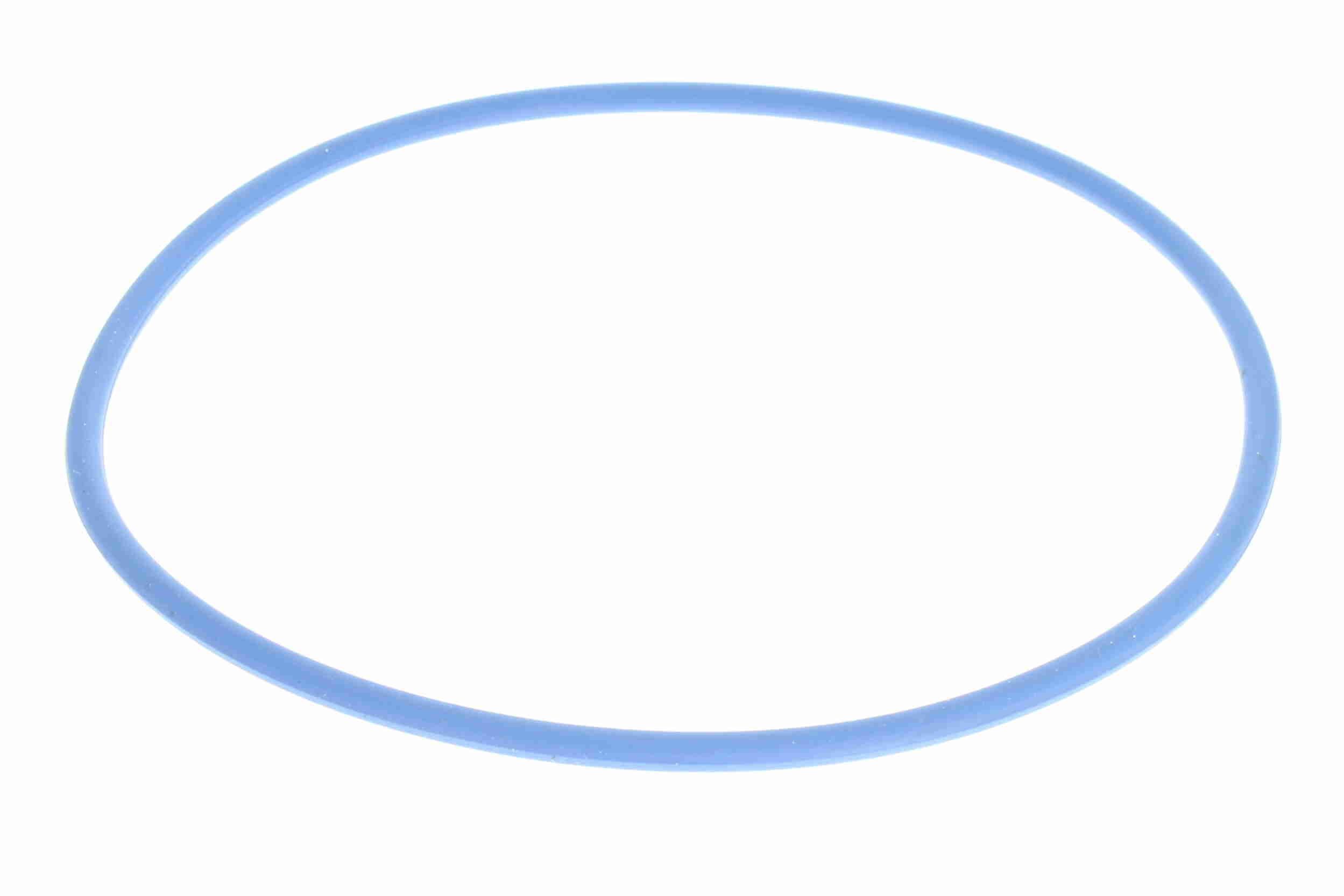 Kuro filtras VAICO V25-0081