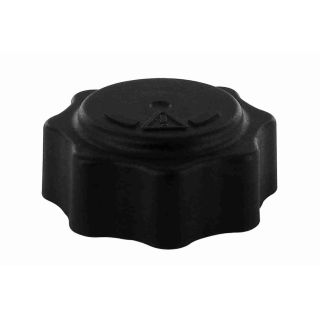 Dangtelis, radiatorius VAICO V20-1838