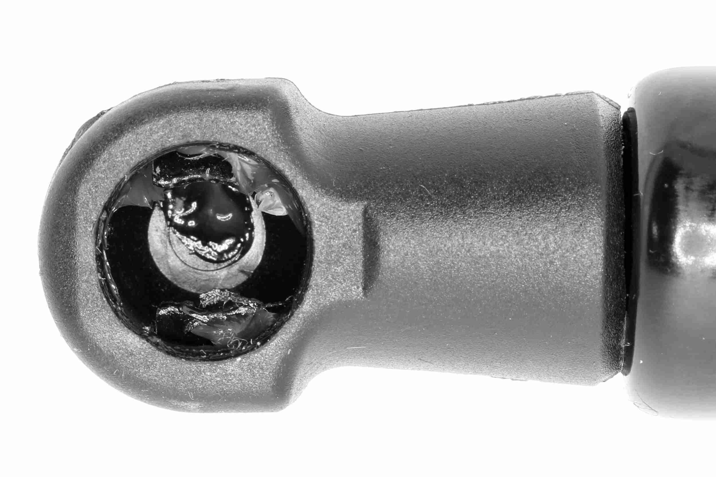 Dujinė spyruoklė, bagažinė VAICO V24-0851