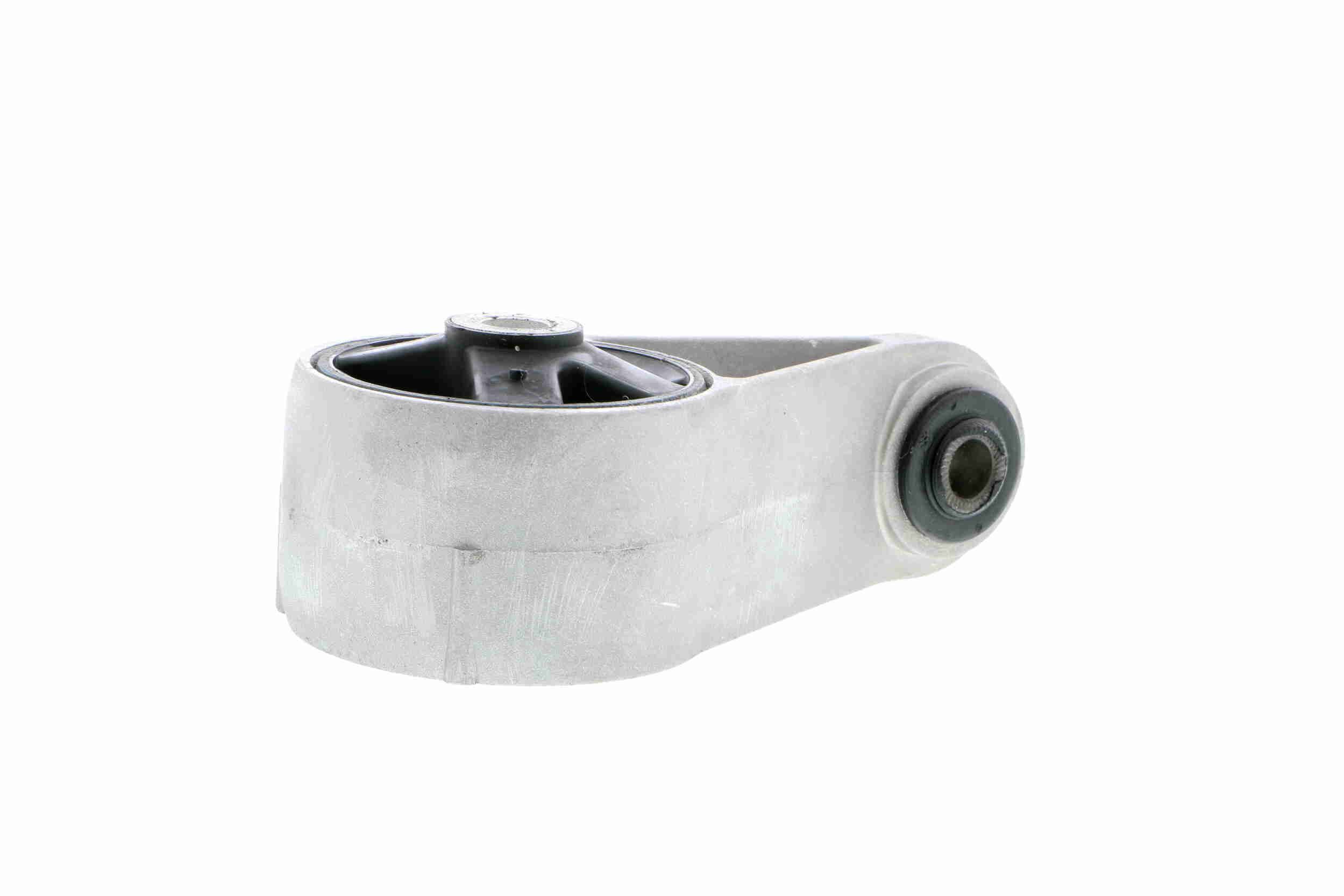 Variklio montavimas VAICO V20-0031