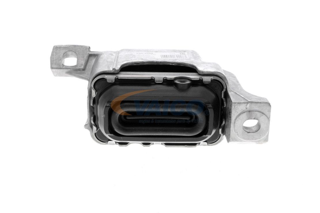 Variklio montavimas VAICO V20-2099