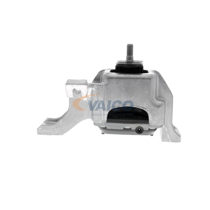 Variklio montavimas VAICO V20-2100