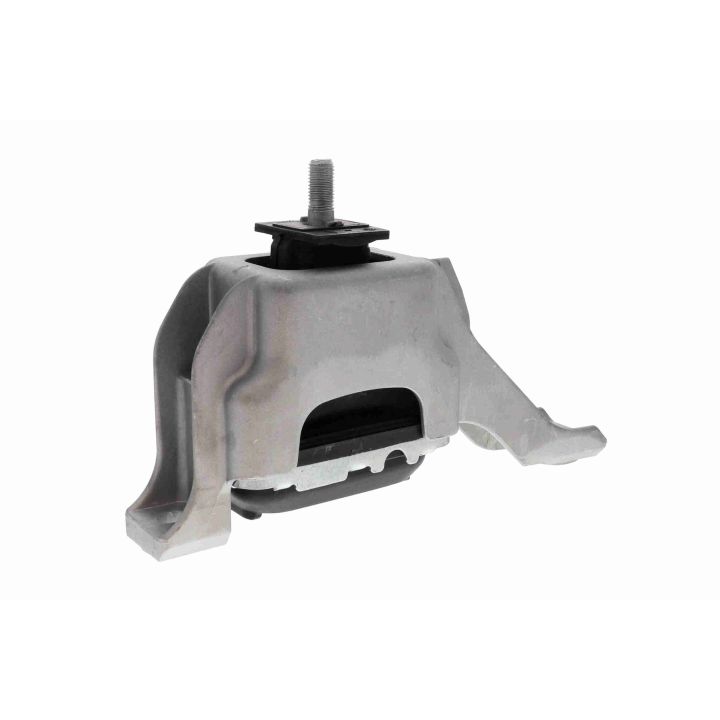 Variklio montavimas VAICO V20-2101