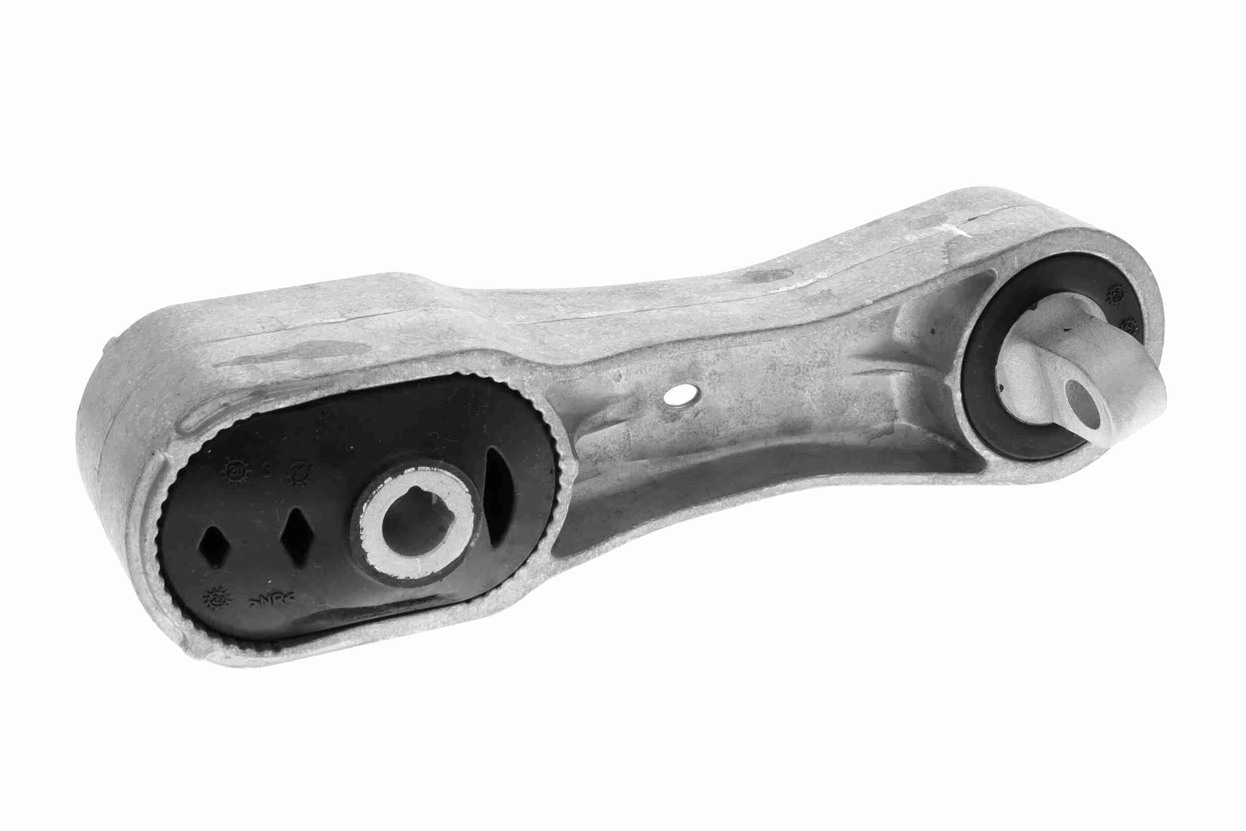 Variklio montavimas VAICO V20-4315