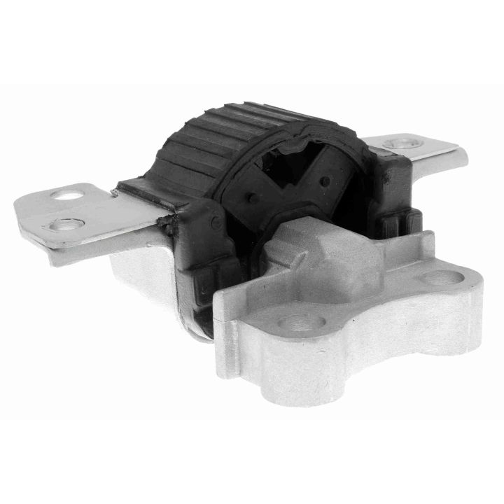 Variklio montavimas VAICO V22-0600