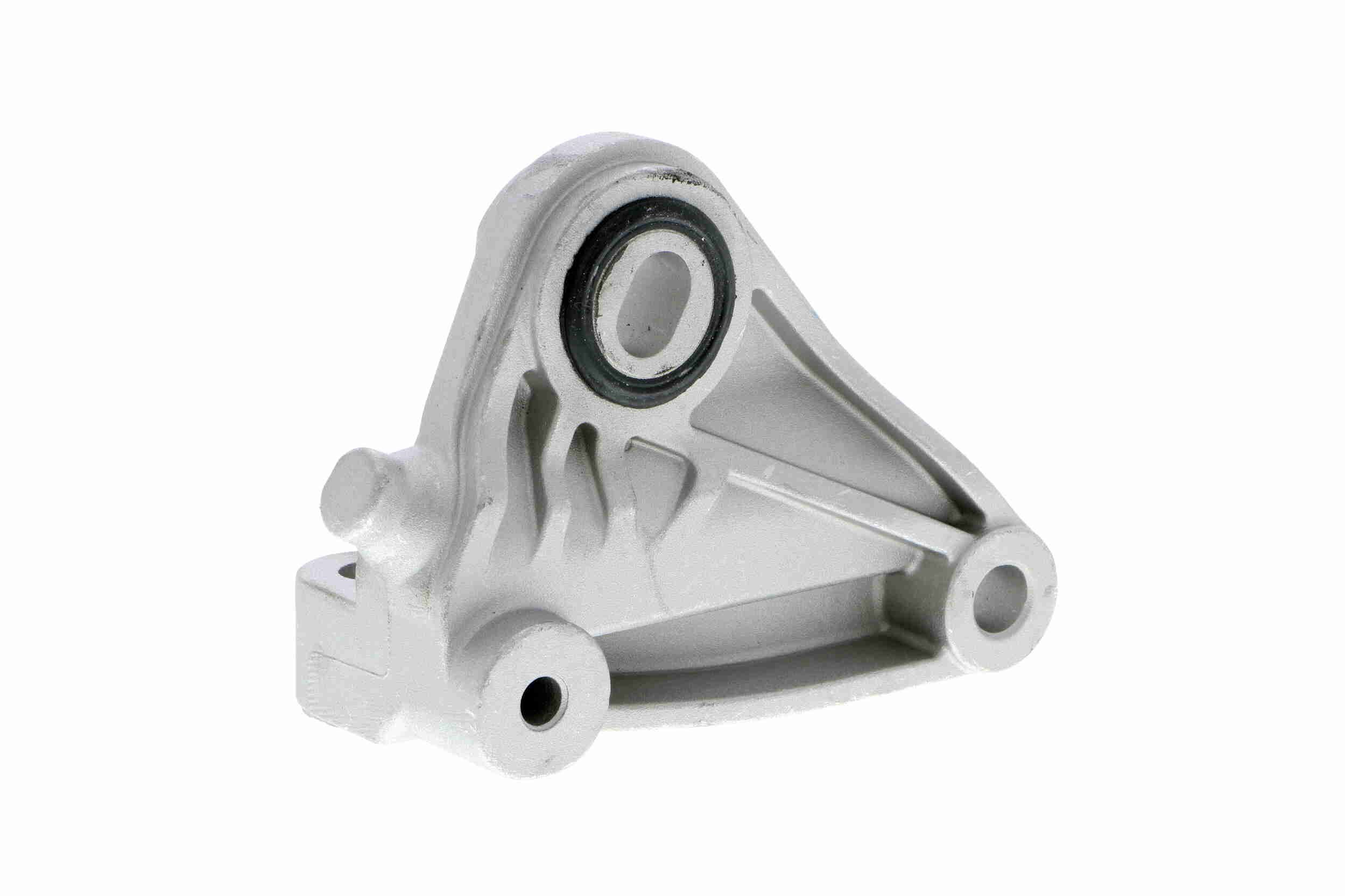 Variklio montavimas VAICO V24-0291