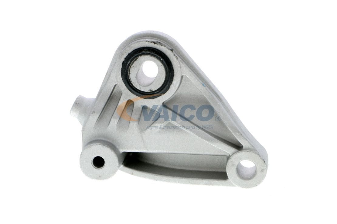 Variklio montavimas VAICO V24-0291