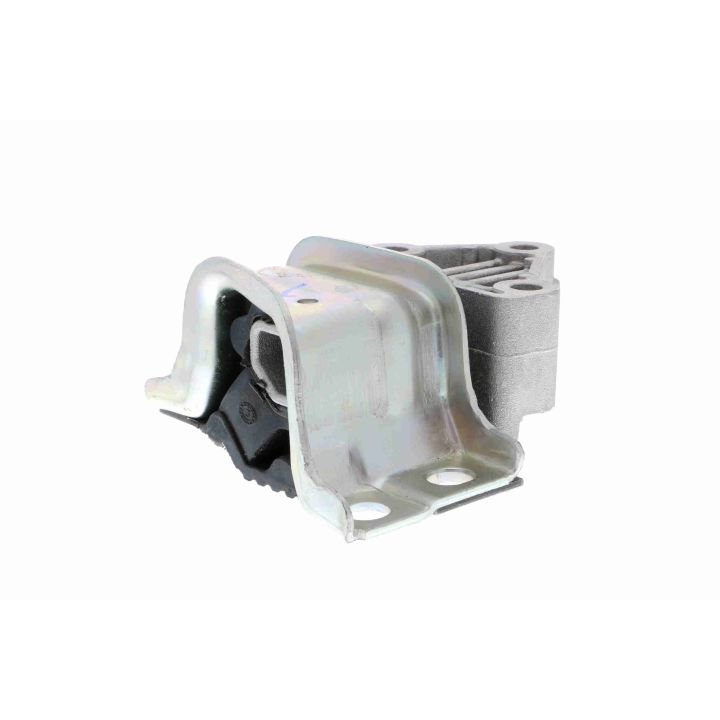 Variklio montavimas VAICO V24-0551