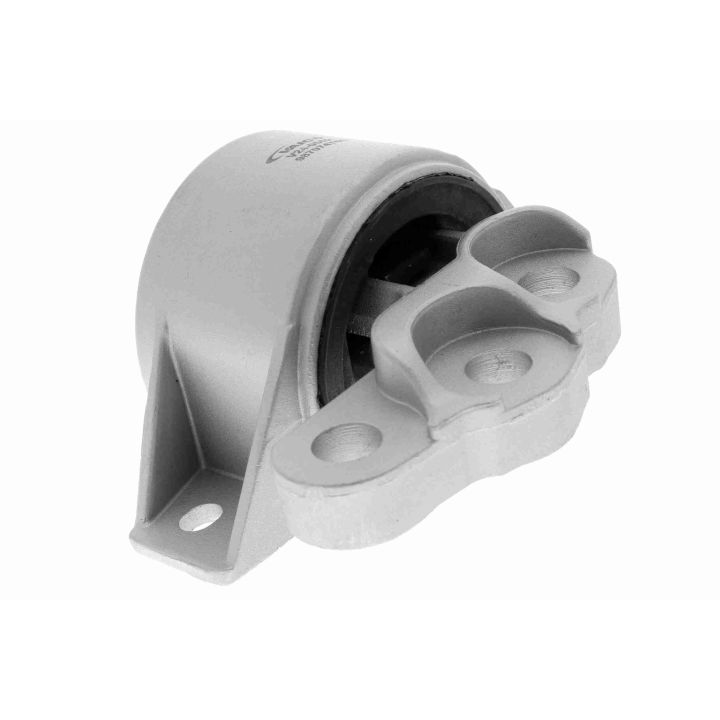 Variklio montavimas VAICO V24-0552