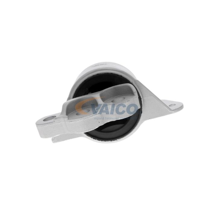 Variklio montavimas VAICO V24-0552
