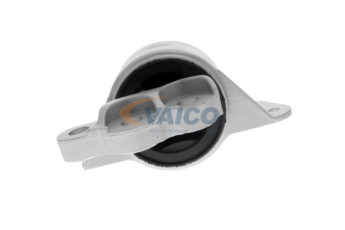 Variklio montavimas VAICO V24-0552